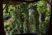 Homestay in Br hills