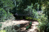 Homestay near br hills