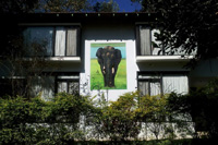 br hills accommodation